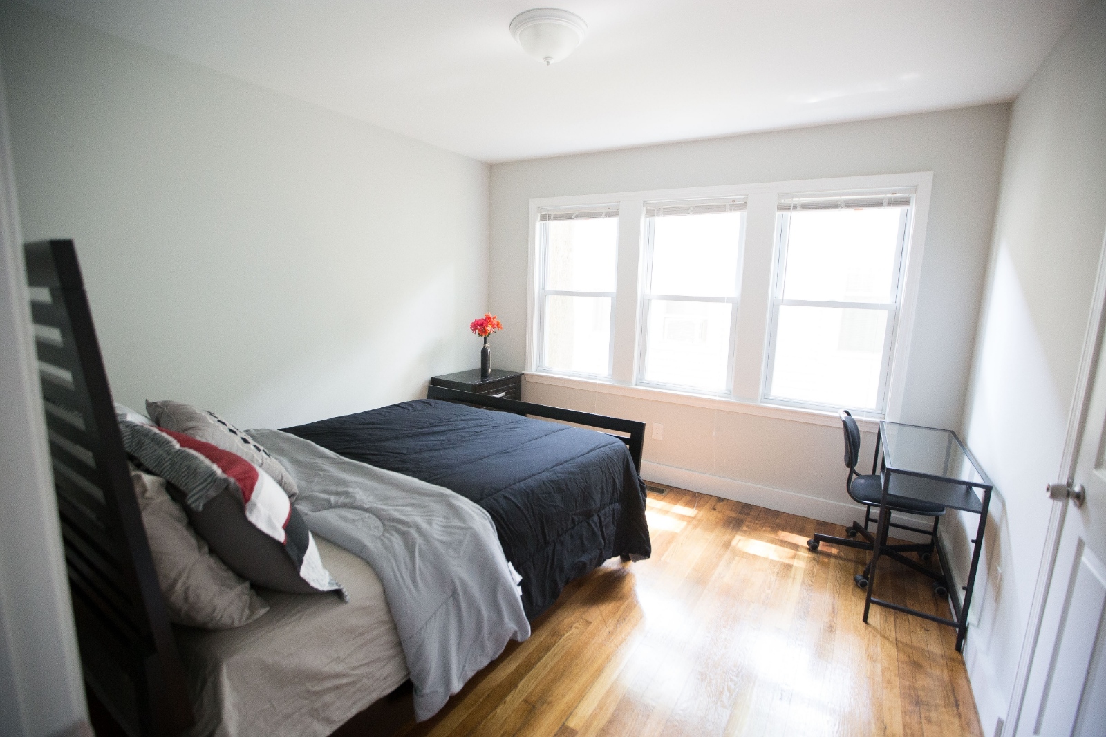 20240909-223745539-9937-4e6a85c9d5c0_Resized_Resized_IMG_9550_3__5_ _1_.jpeg